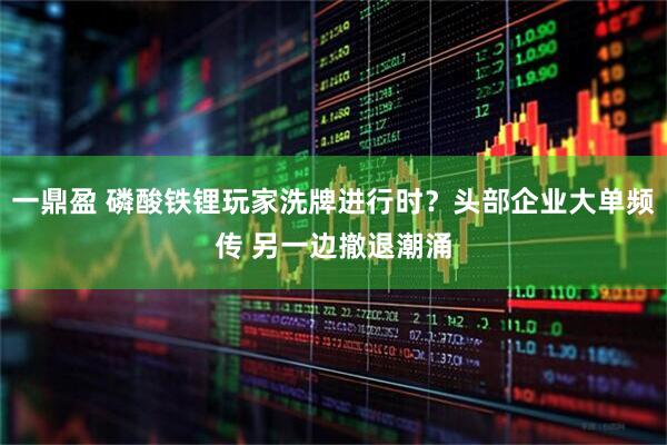 一鼎盈 磷酸铁锂玩家洗牌进行时？头部企业大单频传 另一边撤退潮涌