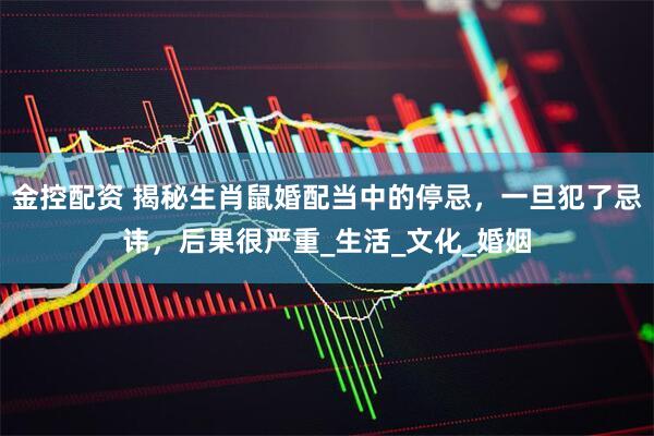金控配资 揭秘生肖鼠婚配当中的停忌，一旦犯了忌讳，后果很严重_生活_文化_婚姻