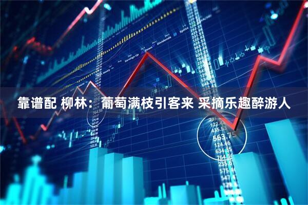 靠谱配 柳林：葡萄满枝引客来 采摘乐趣醉游人