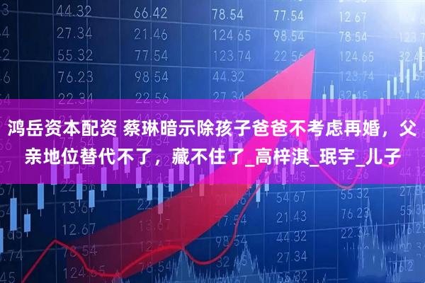 鸿岳资本配资 蔡琳暗示除孩子爸爸不考虑再婚，父亲地位替代不了，藏不住了_高梓淇_珉宇_儿子