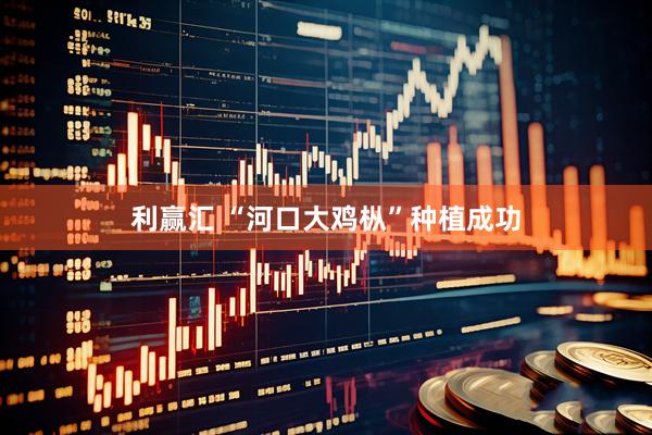 利赢汇 “河口大鸡枞”种植成功