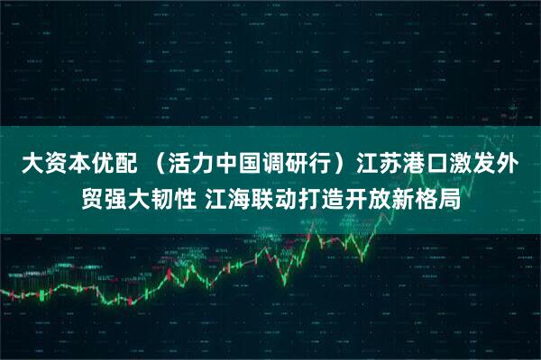 大资本优配 （活力中国调研行）江苏港口激发外贸强大韧性 江海联动打造开放新格局