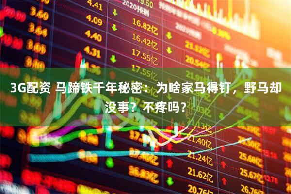 3G配资 马蹄铁千年秘密：为啥家马得钉，野马却没事？不疼吗？