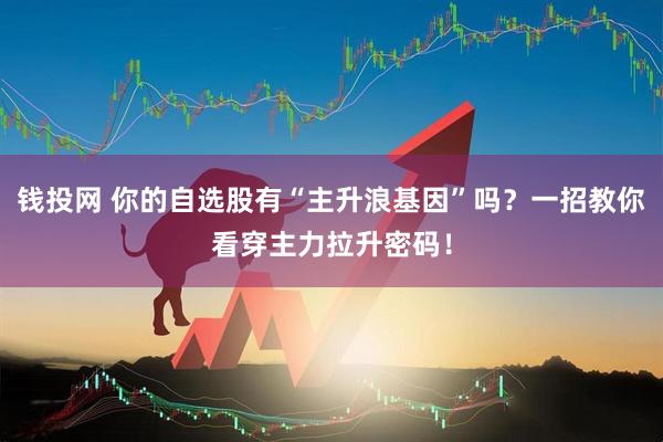 钱投网 你的自选股有“主升浪基因”吗？一招教你看穿主力拉升密码！