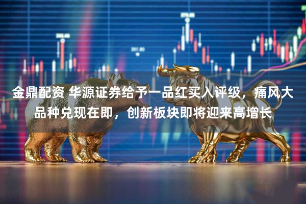 金鼎配资 华源证券给予一品红买入评级，痛风大品种兑现在即，创新板块即将迎来高增长
