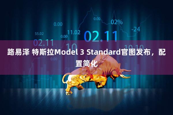 路易泽 特斯拉Model 3 Standard官图发布，配置简化