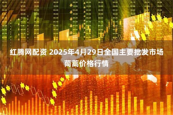红腾网配资 2025年4月29日全国主要批发市场茼蒿价格行情