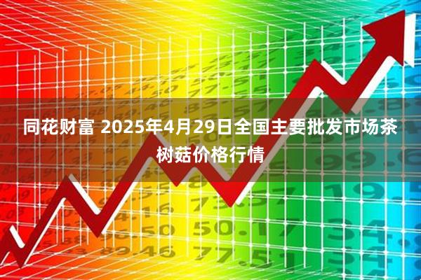 同花财富 2025年4月29日全国主要批发市场茶树菇价格行情