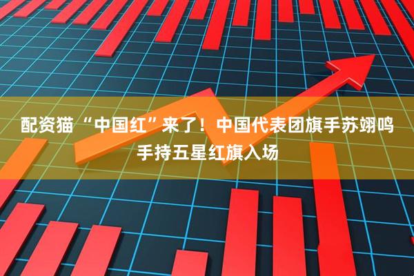 配资猫 “中国红”来了！中国代表团旗手苏翊鸣手持五星红旗入场