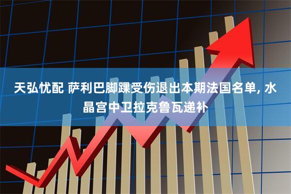 天弘忧配 萨利巴脚踝受伤退出本期法国名单, 水晶宫中卫拉克鲁瓦递补